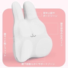 腰痛クッション　うさぎの画像