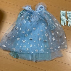 １１０cmアナと雪の女王2️⃣の画像