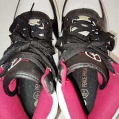 ピースプロジェクト 26cm エナメルの画像