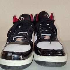 ピースプロジェクト 26cm エナメルの画像