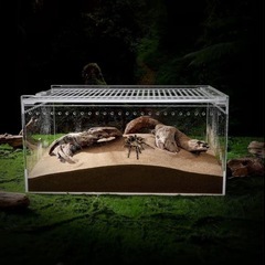 爬虫類　昆虫飼育ケース ❤️透明 両生類 レプタイルボックス 飼育ボックス 新品の画像