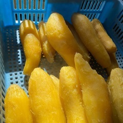 さつまいも　紅はるか　形不揃い　20キロ　農家直送の画像