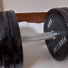 ダンベル30kgx2の画像