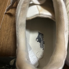 すにあ26.5の画像