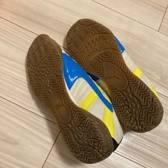 フットサルシューズの画像