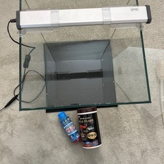 30センチ正方形の水槽☆アクアリウムにもの画像