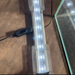 30センチ正方形の水槽☆アクアリウムにもの画像