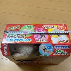 24コの特技ができるおりこうワンちゃん❤️の画像