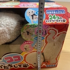 24コの特技ができるおりこうワンちゃん❤️の画像