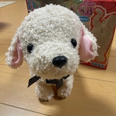 24コの特技ができるおりこうワンちゃん❤️の画像