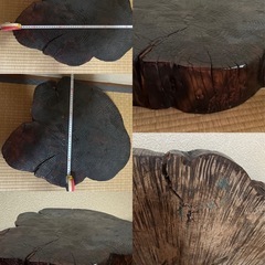 錦鶏鳥　剥製　とても綺麗な色で可愛いらしい顔をしていますの画像