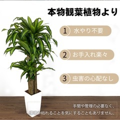 フェイクグリーン　160cmの画像