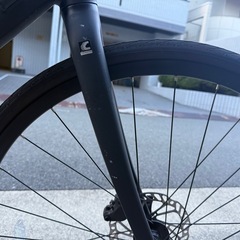 Escape RX 2 Disc 2025年モデル　black
の画像