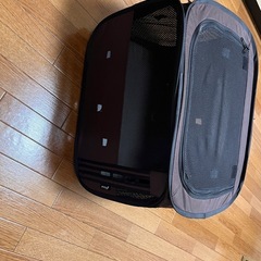 折りたたみ式犬小屋の画像