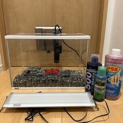 水槽　GEX  テトラLED  濾過装置　セット
の画像