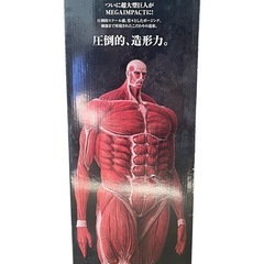 進撃一番くじ♡超大型巨人ラストワン╰(*´︶`*)╯♡の画像