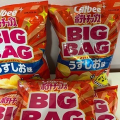 お得★ポテチ★うすしおBIG160g5袋
の画像