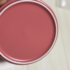 コスタコーヒー  お皿　オープン記念の画像