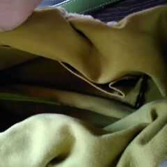 トートバッグ (フリル月？)の画像