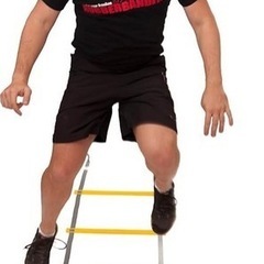 トレーニングラダー（中古・無料でお譲りしますの画像