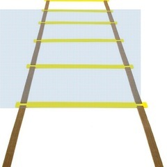 トレーニングラダー（中古・無料でお譲りしますの画像