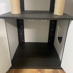 キャットタワーの画像