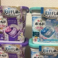 ②【16箱セット】ボールド　ジェルボール洗剤の画像