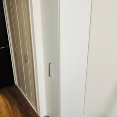 薄型で隠せる収納 衣類収納ロッカー 棚タイプの画像