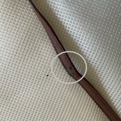 ハッシュハッシュ⭐︎上品なベロアのショルダー財布👛ピンクの画像