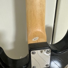 SELDER セルダー エレキギターの画像