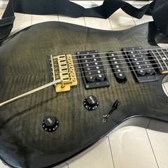 チャッティングバード　エレキギターの画像