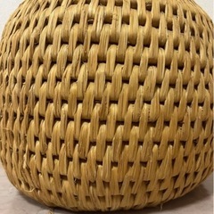 ネコチグラの画像