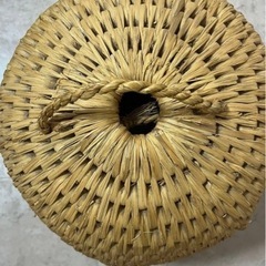 ネコチグラの画像