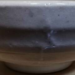 未使用 ◆ 萬古焼 ばんこやき 小鉢 茶碗 五客 ◆ 陶磁器 陶器 磁器 半磁器 炻器 飾り鉢 料理 台所 調理 5客 小皿 三重 桑名 ◆ 太鉄製陶所の画像