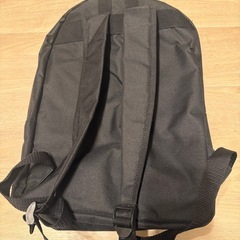 ポケモンリュック　ウッウとピカチュウ
の画像