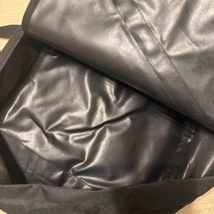 ポケモンリュック　ウッウとピカチュウ
の画像