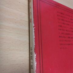 『痴人の愛』谷崎潤一郎　新潮文庫の画像