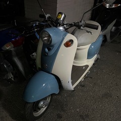 ビーノ❣️他在庫多数飛込見学大歓迎の画像