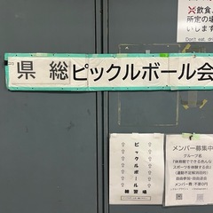 12/1県総体育館(沖縄市)でピックルボール一緒にやりましょう
