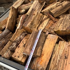 杉乾燥。20から35センチ前後1台のみ2000円の画像
