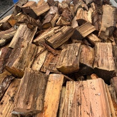 杉乾燥。20から35センチ前後1台のみ2000円の画像