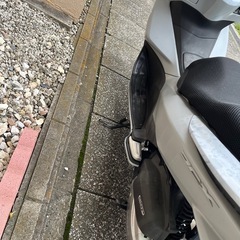 HONDA pcx 125 jf56 近場配送も可能！の画像