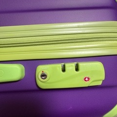 色合いがエバっぽいキャリーケースの画像