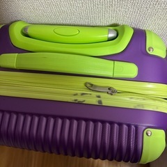 色合いがエバっぽいキャリーケースの画像