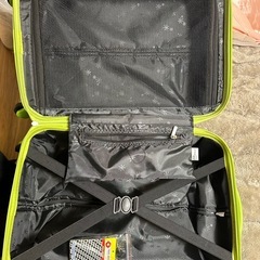 色合いがエバっぽいキャリーケースの画像