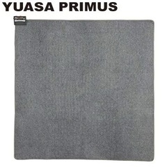 冬に欠かせない！ホットカーペットの画像