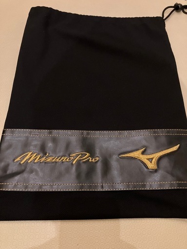 【ビックM】 Mizuno Professional Model レザー袋付き