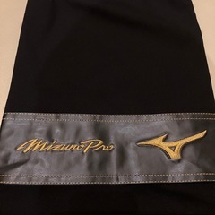 【ビックM】 Mizuno Professional Model レザー袋付きの画像