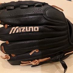 【ビックM】 Mizuno Professional Model レザー袋付きの画像