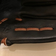 【ビックM】 Mizuno Professional Model レザー袋付きの画像